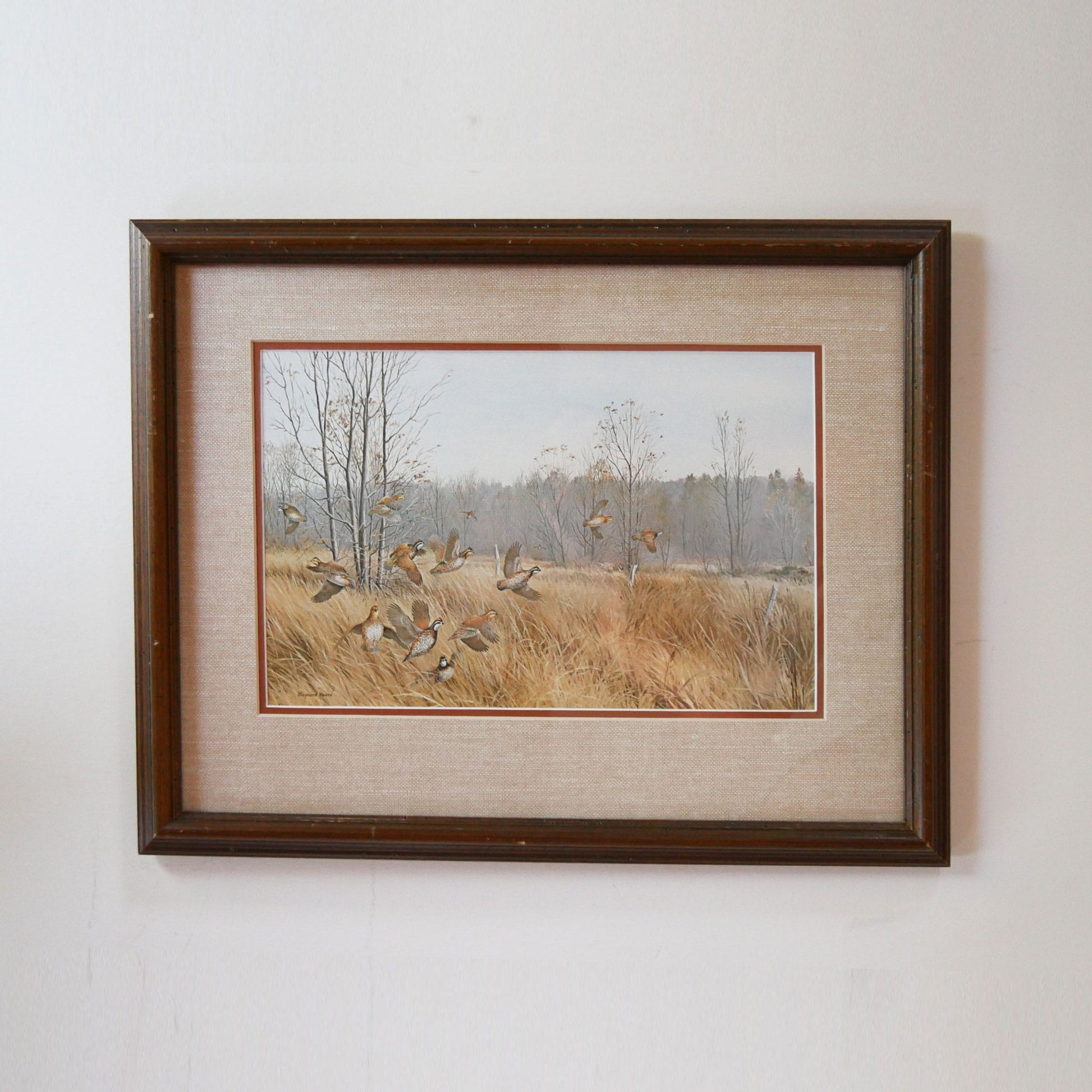 Vintage Framed Quail Lithograph Print, Quail Artwork, Vintage Quail Lithograph, Vintage Pheasant Artwork, Vintage Pheasant Print, Framed Quail Art, Framed Pheasant Art