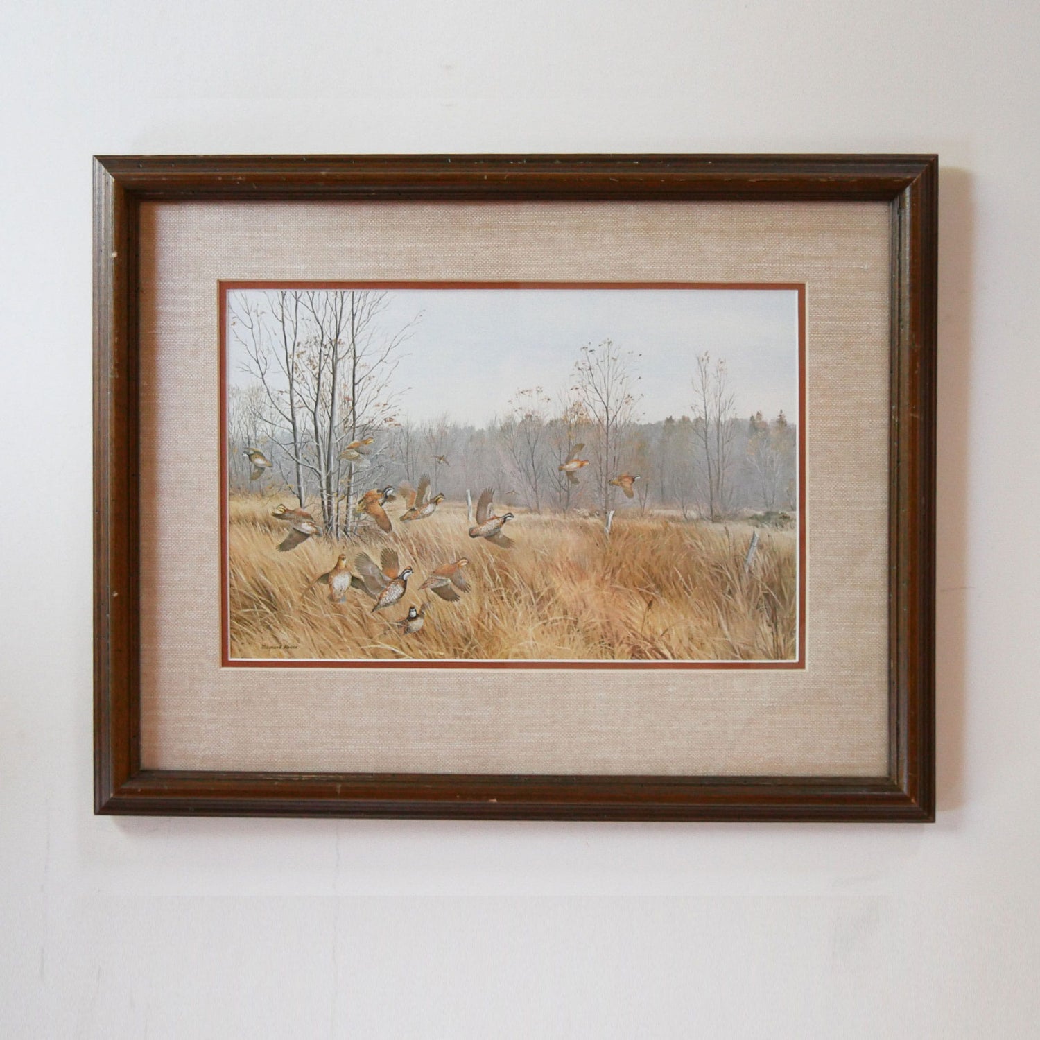 Vintage Framed Quail Lithograph Print, Quail Artwork, Vintage Quail Lithograph, Vintage Pheasant Artwork, Vintage Pheasant Print, Framed Quail Art, Framed Pheasant Art