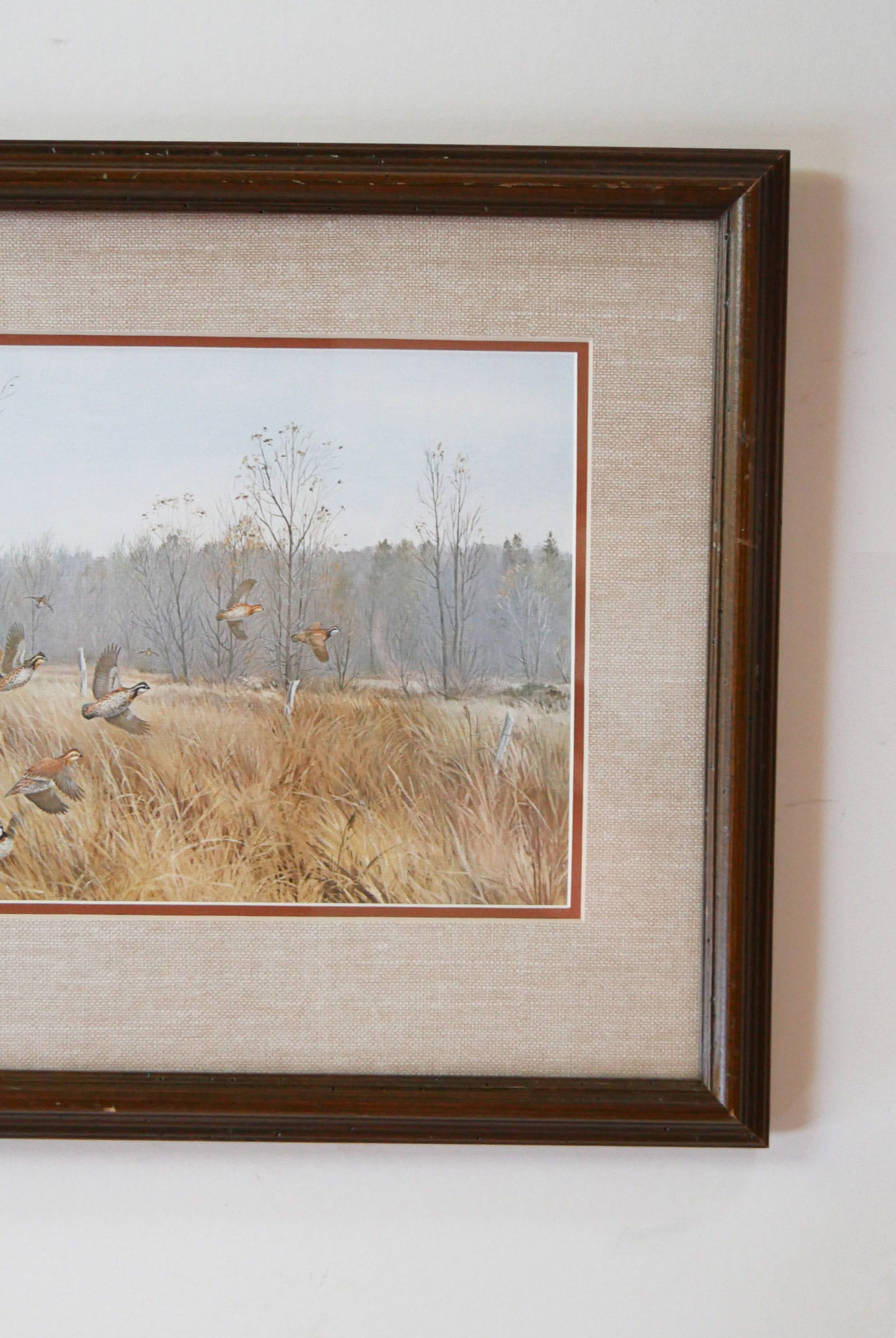 Vintage Framed Quail Lithograph Print, Quail Artwork, Vintage Quail Lithograph, Vintage Pheasant Artwork, Vintage Pheasant Print, Framed Quail Art, Framed Pheasant Art