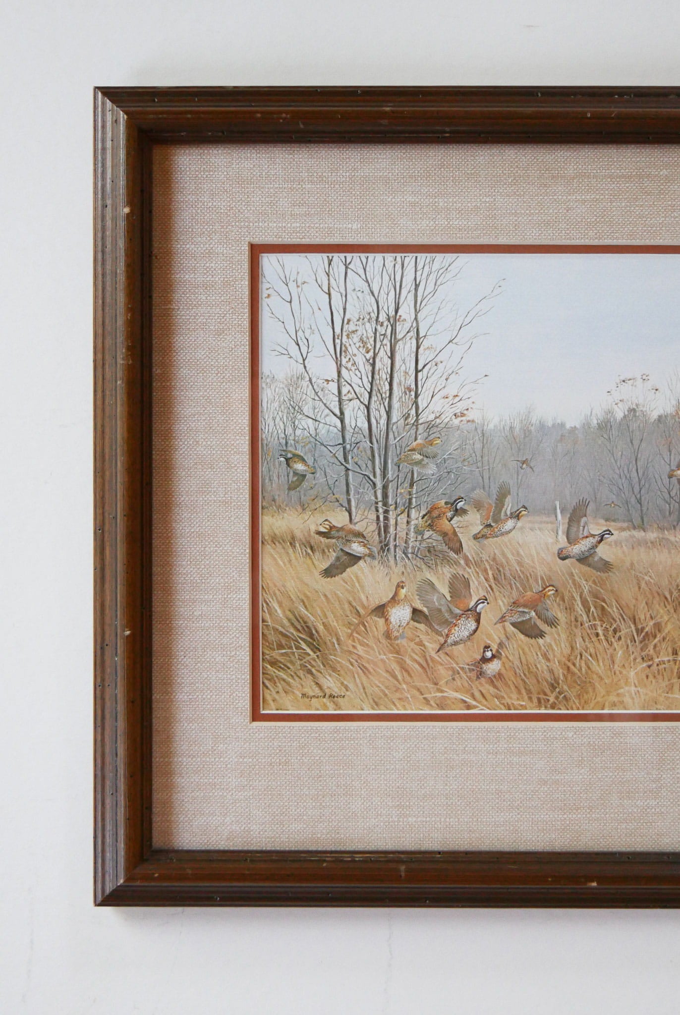 Vintage Framed Quail Lithograph Print, Quail Artwork, Vintage Quail Lithograph, Vintage Pheasant Artwork, Vintage Pheasant Print, Framed Quail Art, Framed Pheasant Art