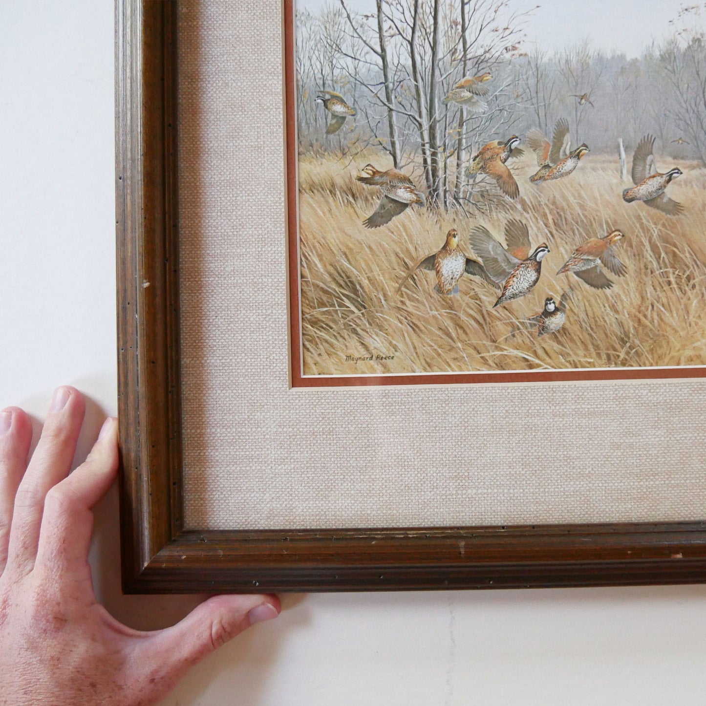 Vintage Framed Quail Lithograph Print, Quail Artwork, Vintage Quail Lithograph, Vintage Pheasant Artwork, Vintage Pheasant Print, Framed Quail Art, Framed Pheasant Art