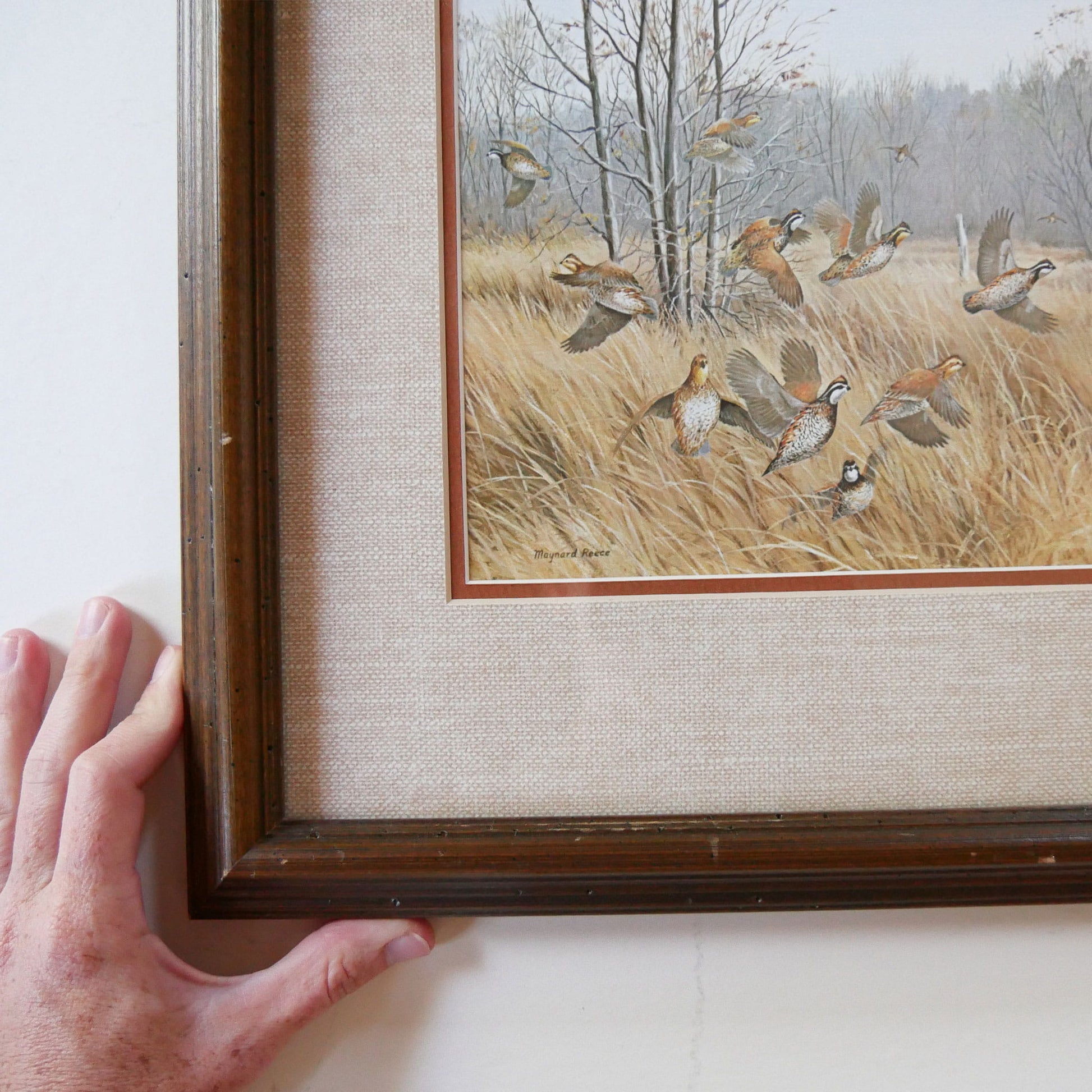 Vintage Framed Quail Lithograph Print, Quail Artwork, Vintage Quail Lithograph, Vintage Pheasant Artwork, Vintage Pheasant Print, Framed Quail Art, Framed Pheasant Art