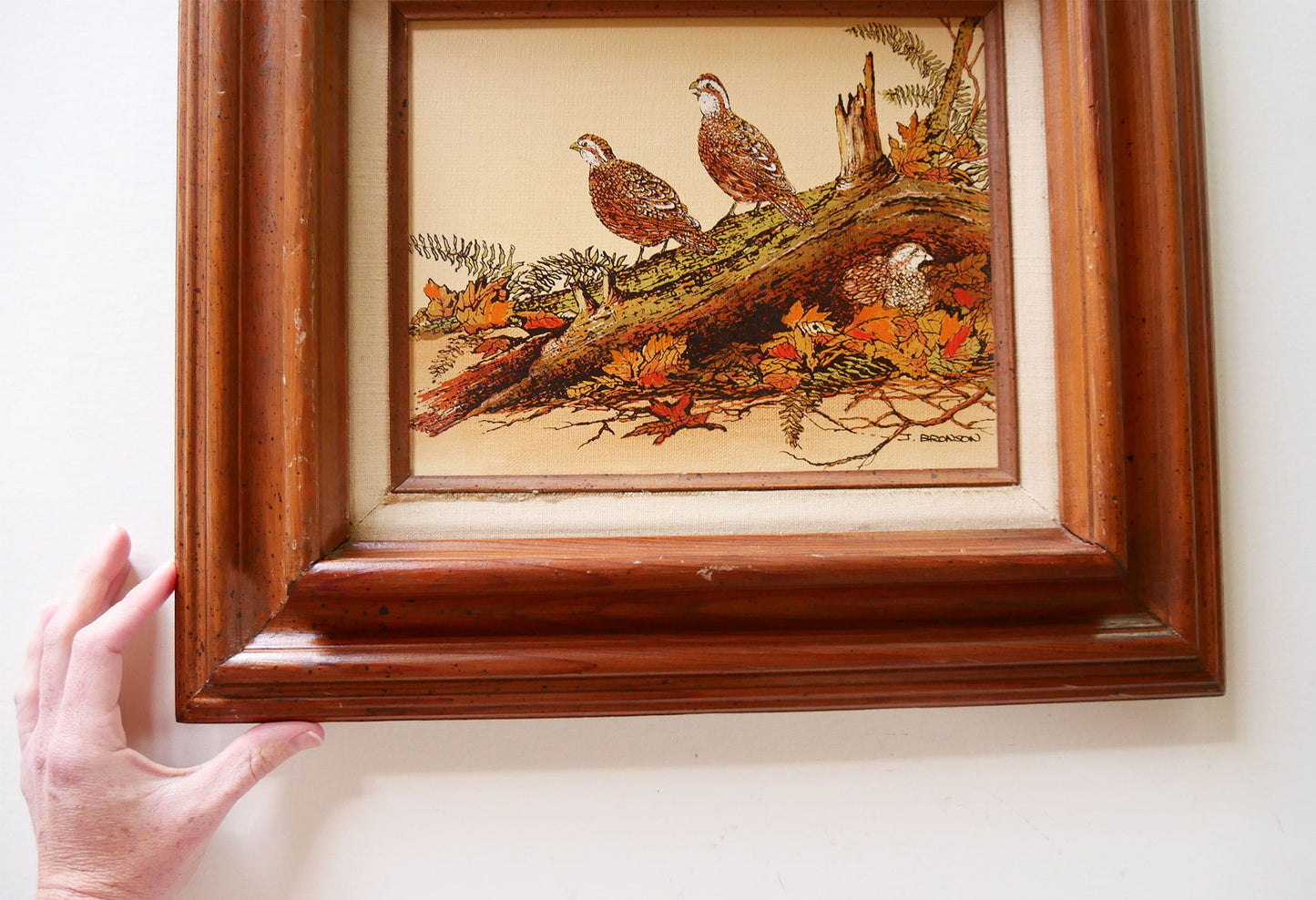 Vintage Framed Quail Lithograph Print, Quail Artwork, Vintage Quail Lithograph, Vintage Pheasant Artwork, Vintage Pheasant Print, Framed Quail Art, Framed Pheasant Art