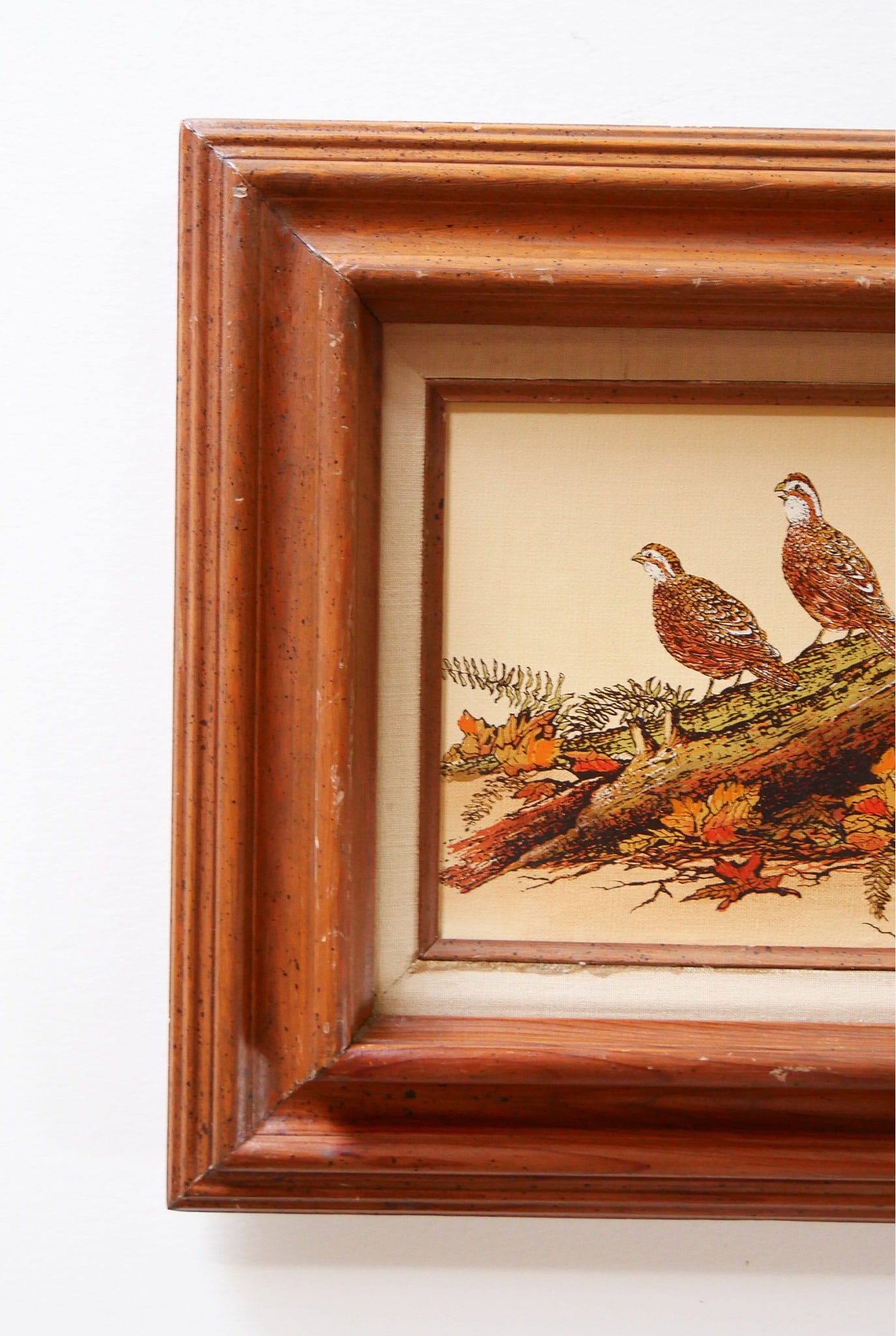 Vintage Framed Quail Lithograph Print, Quail Artwork, Vintage Quail Lithograph, Vintage Pheasant Artwork, Vintage Pheasant Print, Framed Quail Art, Framed Pheasant Art