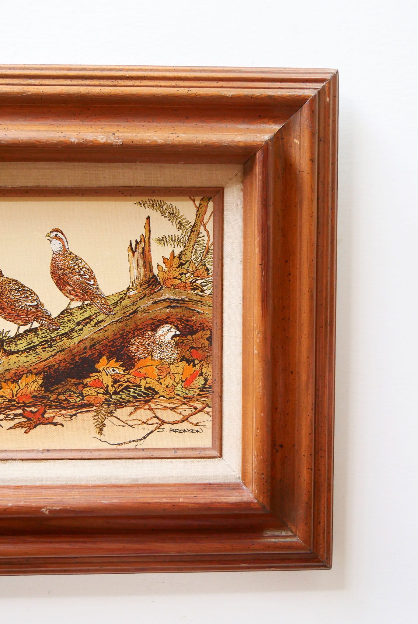Vintage Framed Quail Lithograph Print, Quail Artwork, Vintage Quail Lithograph, Vintage Pheasant Artwork, Vintage Pheasant Print, Framed Quail Art, Framed Pheasant Art
