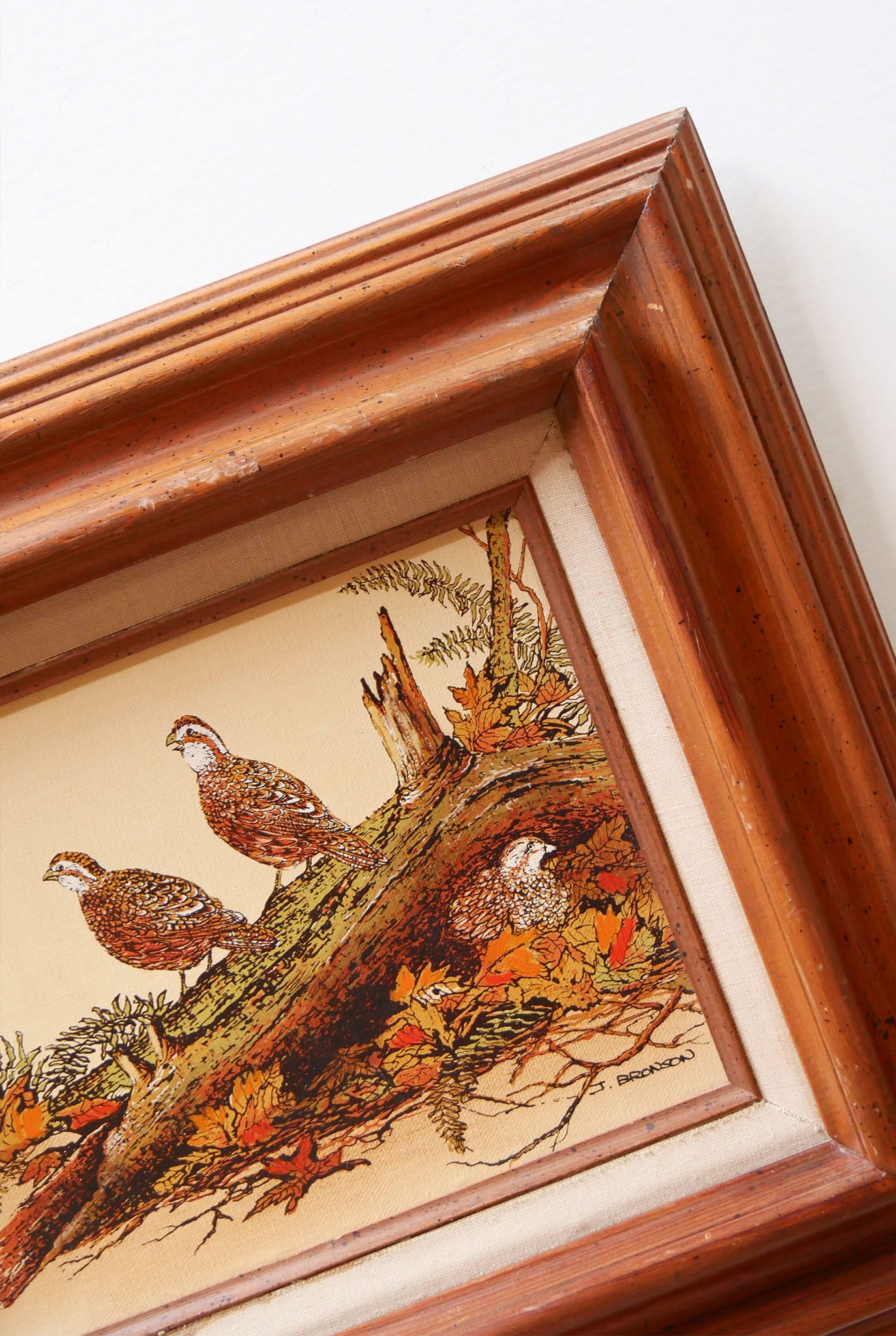 Vintage Framed Quail Lithograph Print, Quail Artwork, Vintage Quail Lithograph, Vintage Pheasant Artwork, Vintage Pheasant Print, Framed Quail Art, Framed Pheasant Art