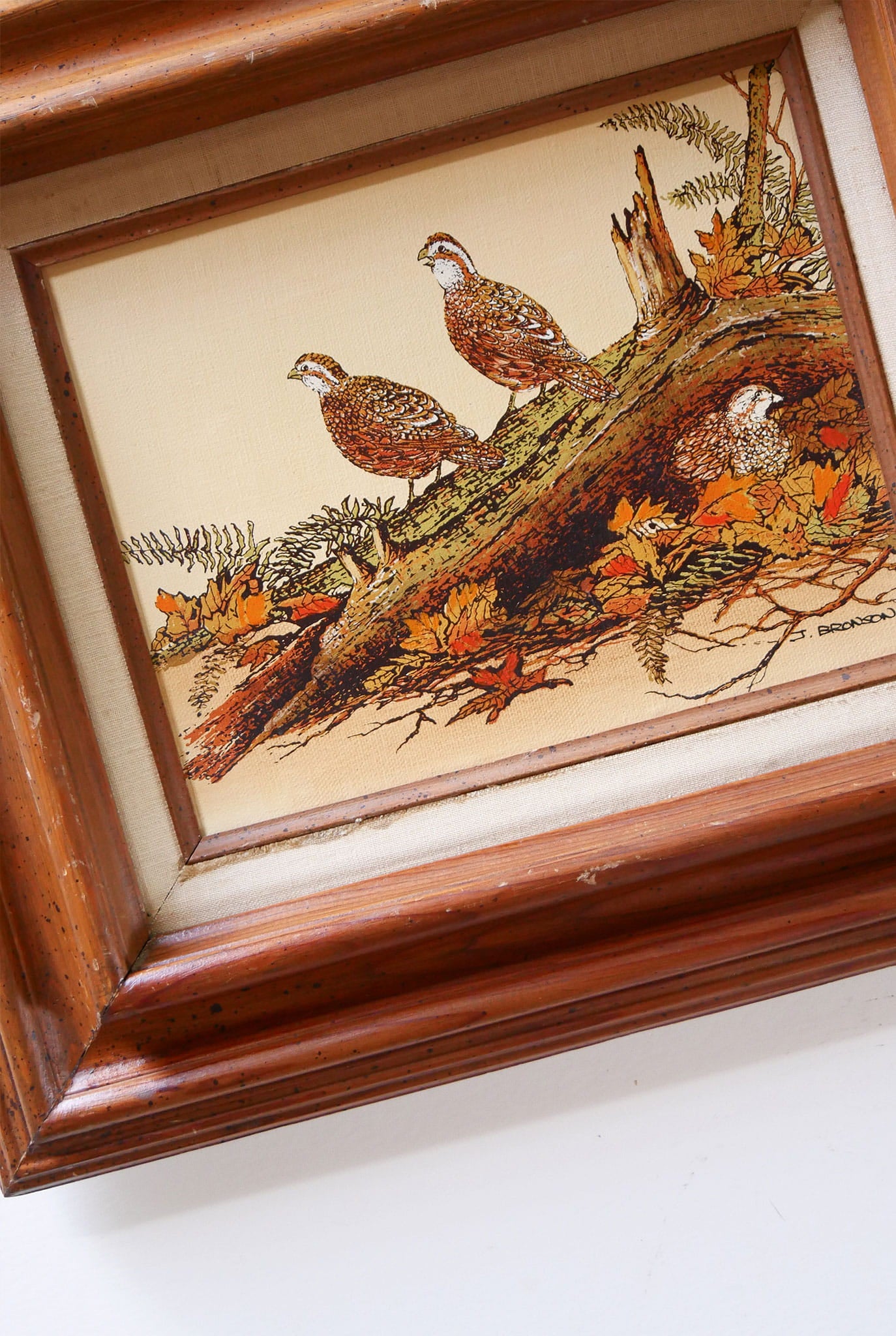 Vintage Framed Quail Lithograph Print, Quail Artwork, Vintage Quail Lithograph, Vintage Pheasant Artwork, Vintage Pheasant Print, Framed Quail Art, Framed Pheasant Art