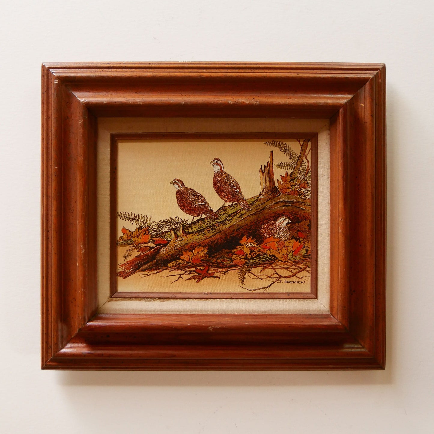 Vintage Framed Quail Lithograph Print, Quail Artwork, Vintage Quail Lithograph, Vintage Pheasant Artwork, Vintage Pheasant Print, Framed Quail Art, Framed Pheasant Art