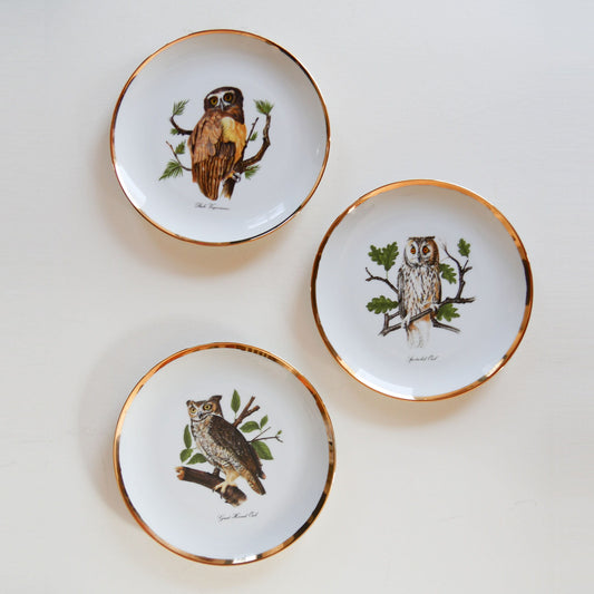 Vintage Gold Rimmed Decorative Owl Plate Set, Vintage Owl Plates, Vintage Bird Plates, Vintage Home Decor, Vintage Decorative Plates, Vintage Wall Decor