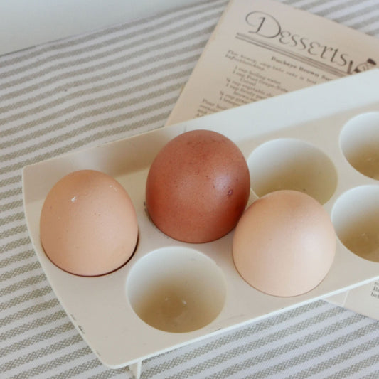 Vintage Ivory Plastic 7-Egg Tray, Vintage Egg Tray, Ivory Egg Tray, Farmhouse Kitchen Decor, Vintage Farmhouse Decor