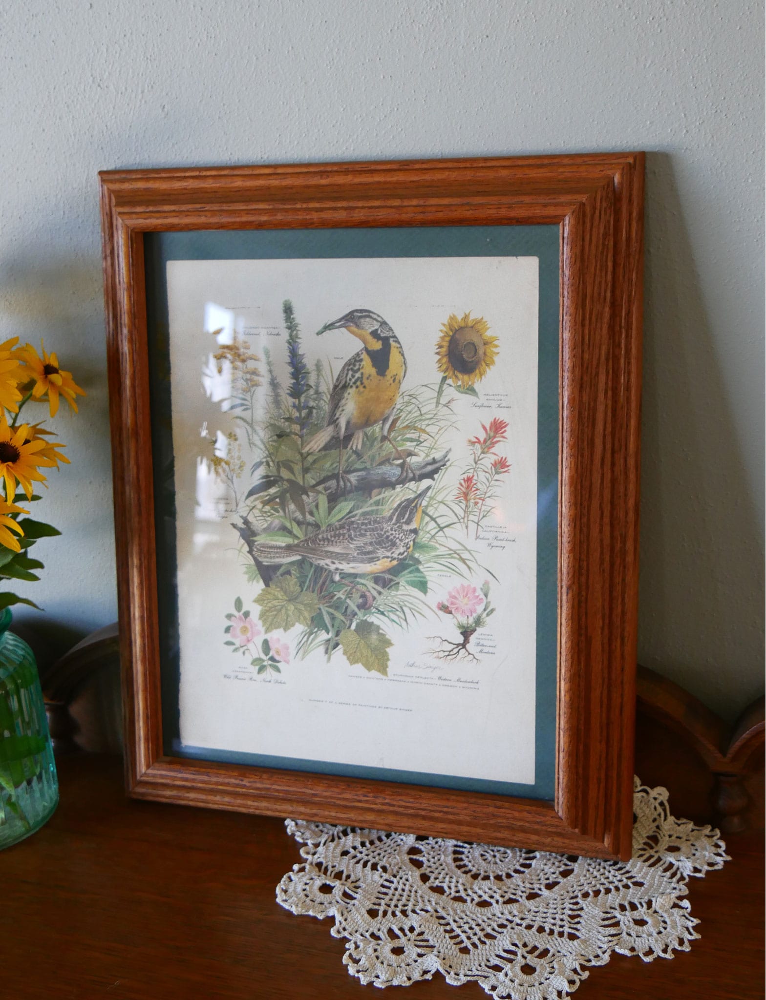 Vintage Oak Framed Arthur Singer No.7 of Series Western Meadowlark Print, 14x17 Vintage Botanical Prints Vintage Bird Prints Vintage Botanical Artwork Vintage Bird Artwork