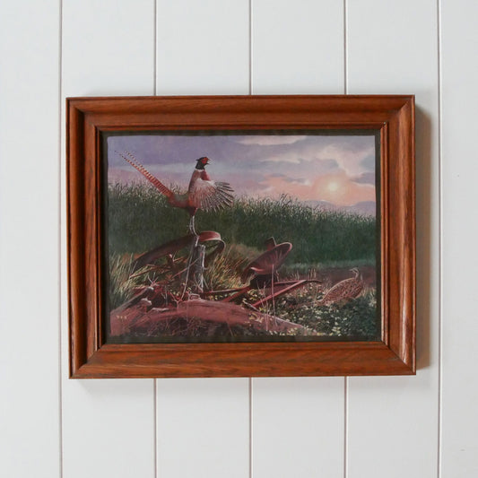 Vintage Oak Framed Pheasant Print, Vintage Pheasant Decor, Vintage Pheasant Artwork, Vintage Pheasant Wall Decor, Vintage Waterfowl Decor, Vintage Bird Artwork, Vintage Wall Decor