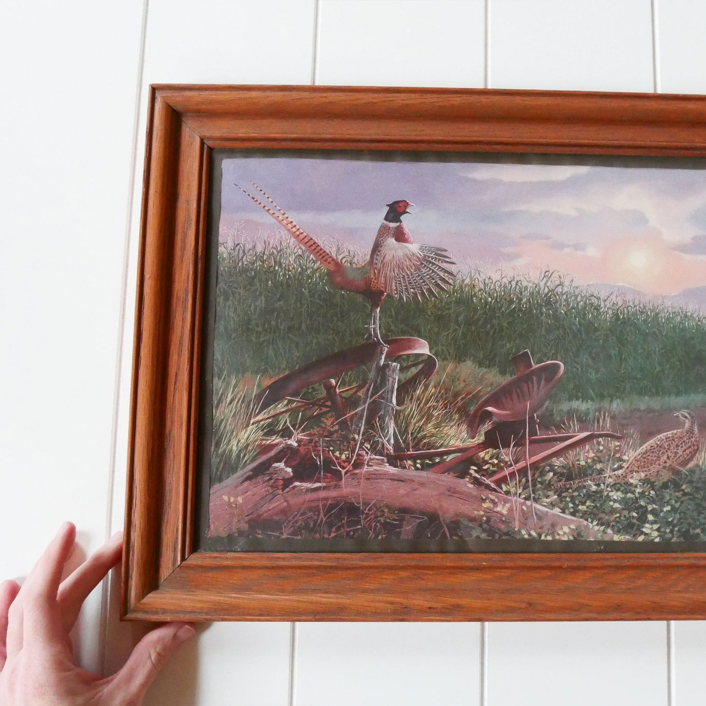 Vintage Oak Framed Pheasant Print, Vintage Pheasant Decor, Vintage Pheasant Artwork, Vintage Pheasant Wall Decor, Vintage Waterfowl Decor, Vintage Bird Artwork, Vintage Wall Decor