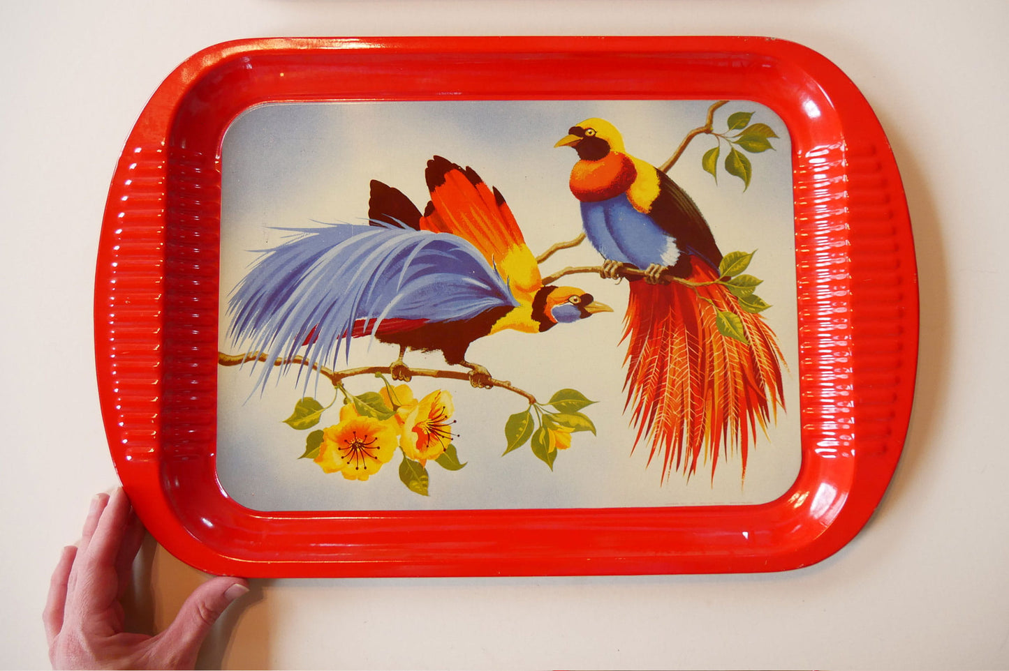 Vintage Bird of Paradise Tropical Serving Tray, Vintage Tropical Trays, Vintage Bird Tray, Vintage Tin Tray, Vintage Retro Bird Tray, Vintage Bird of Paradise Serving Tin Tray