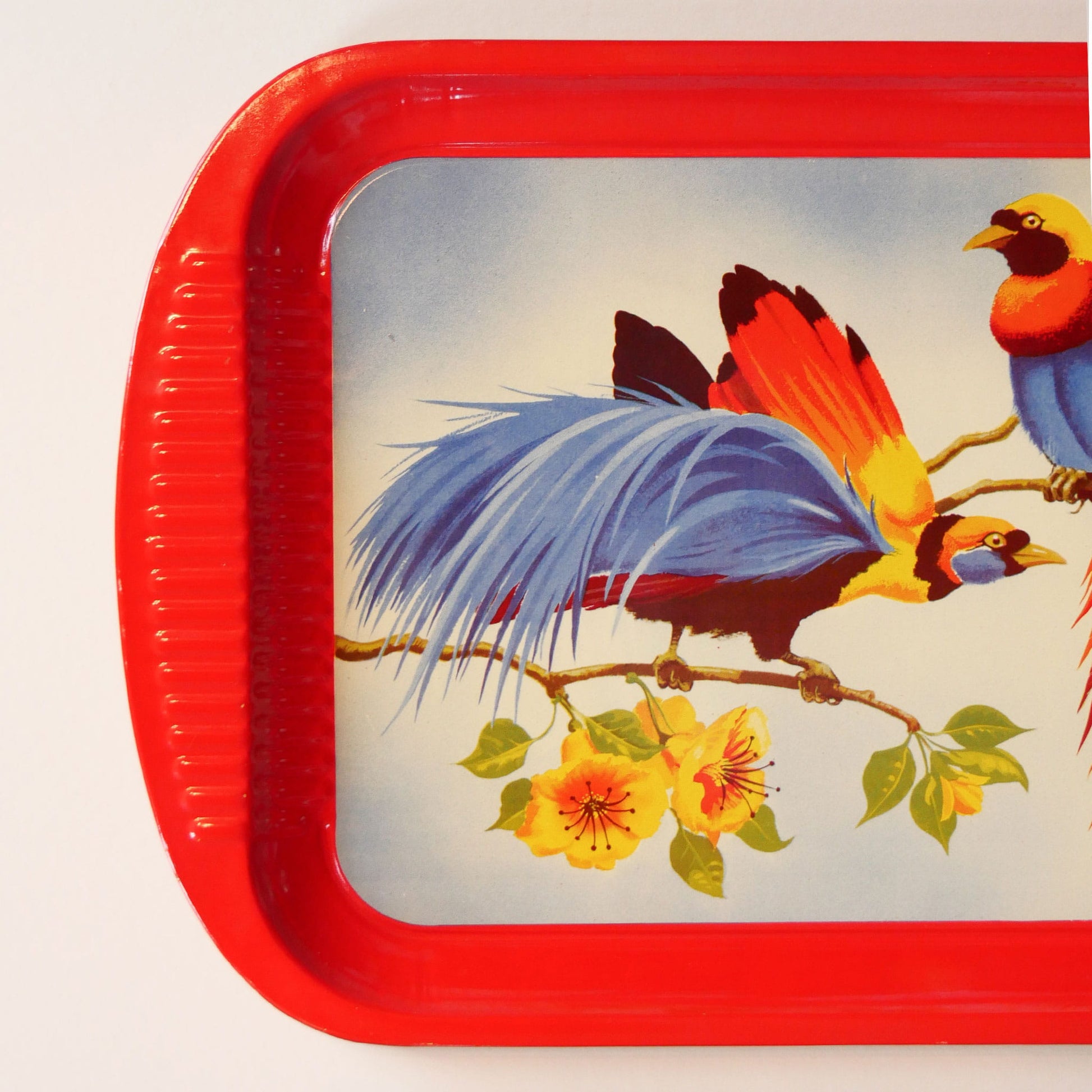Vintage Bird of Paradise Tropical Serving Tray, Vintage Tropical Trays, Vintage Bird Tray, Vintage Tin Tray, Vintage Retro Bird Tray, Vintage Bird of Paradise Serving Tin Tray