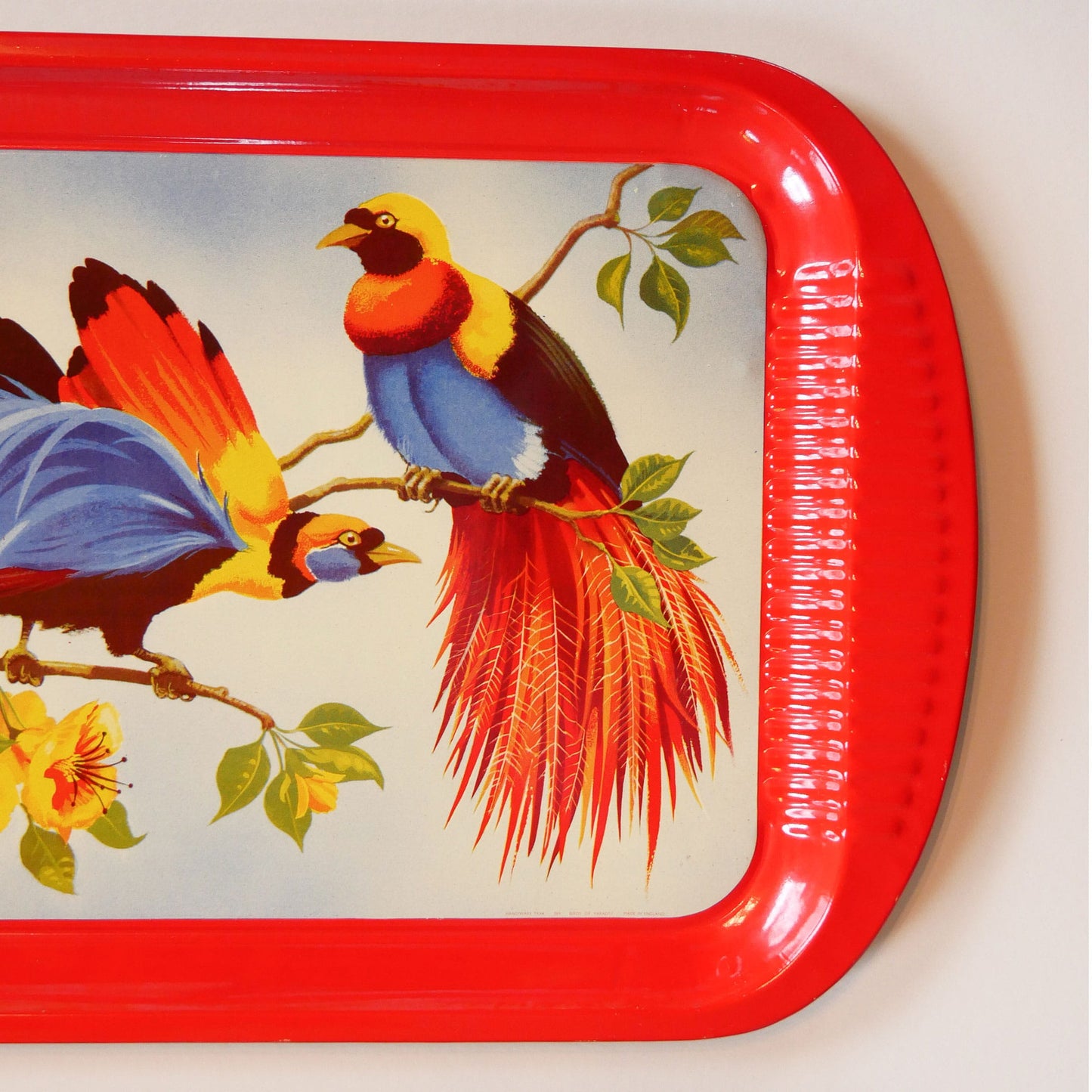 Vintage Bird of Paradise Tropical Serving Tray, Vintage Tropical Trays, Vintage Bird Tray, Vintage Tin Tray, Vintage Retro Bird Tray, Vintage Bird of Paradise Serving Tin Tray