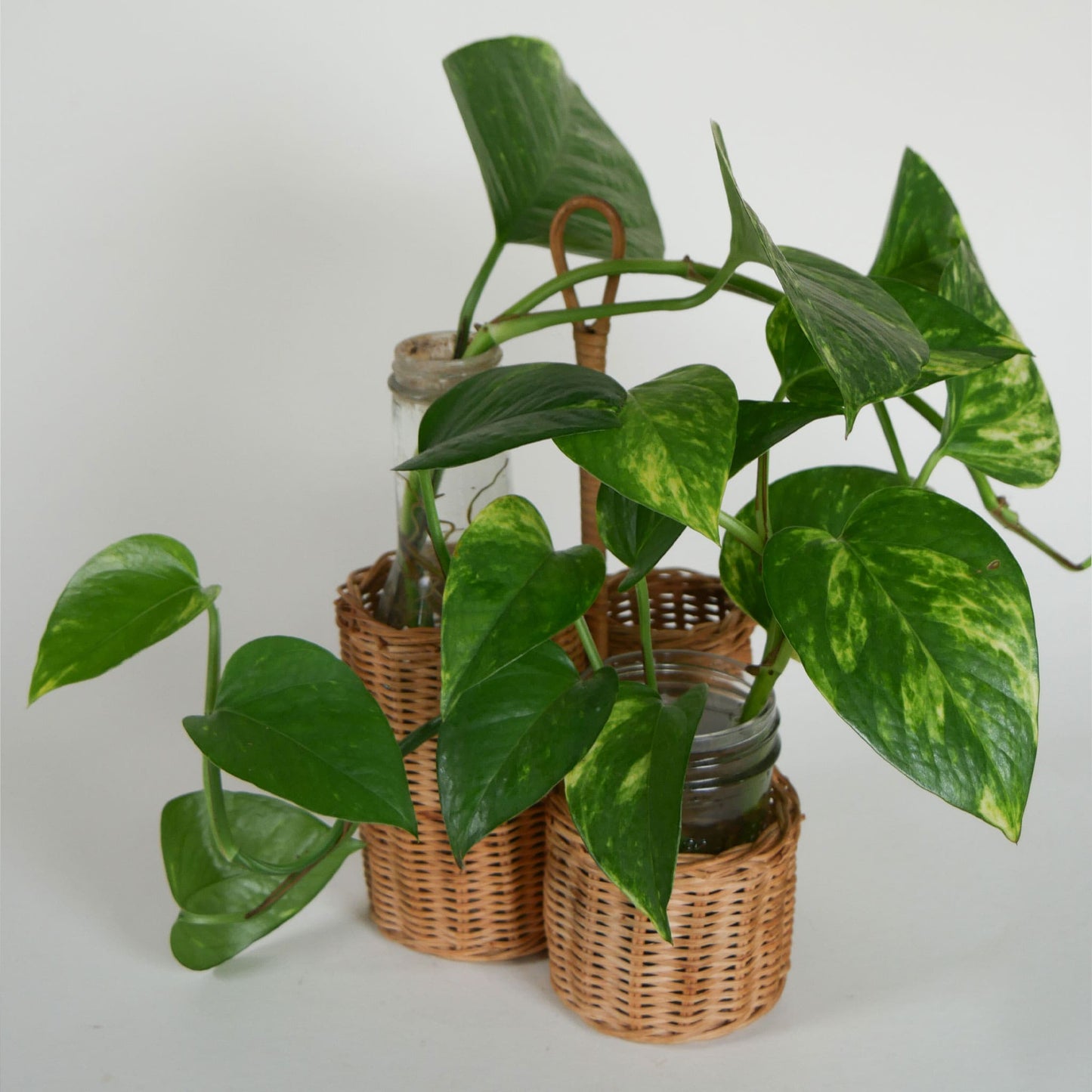 Vintage Wicker Caddy, Vintage Wicker Planter