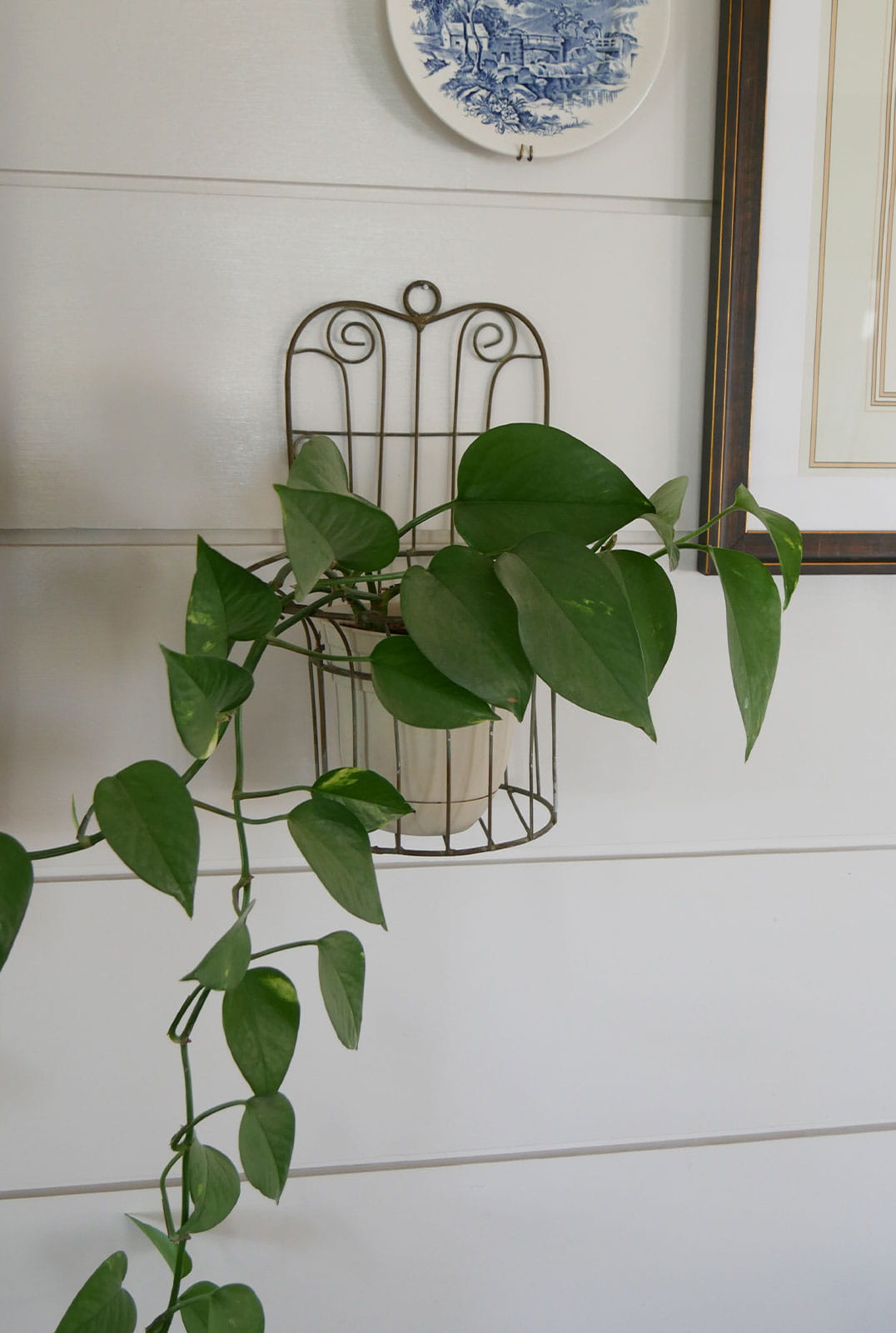 Wire Wall Mounted Plant Holder, Vintage Plant Hanger, VIntage Wire Plant Holder, Wire Wall Plant Hanger