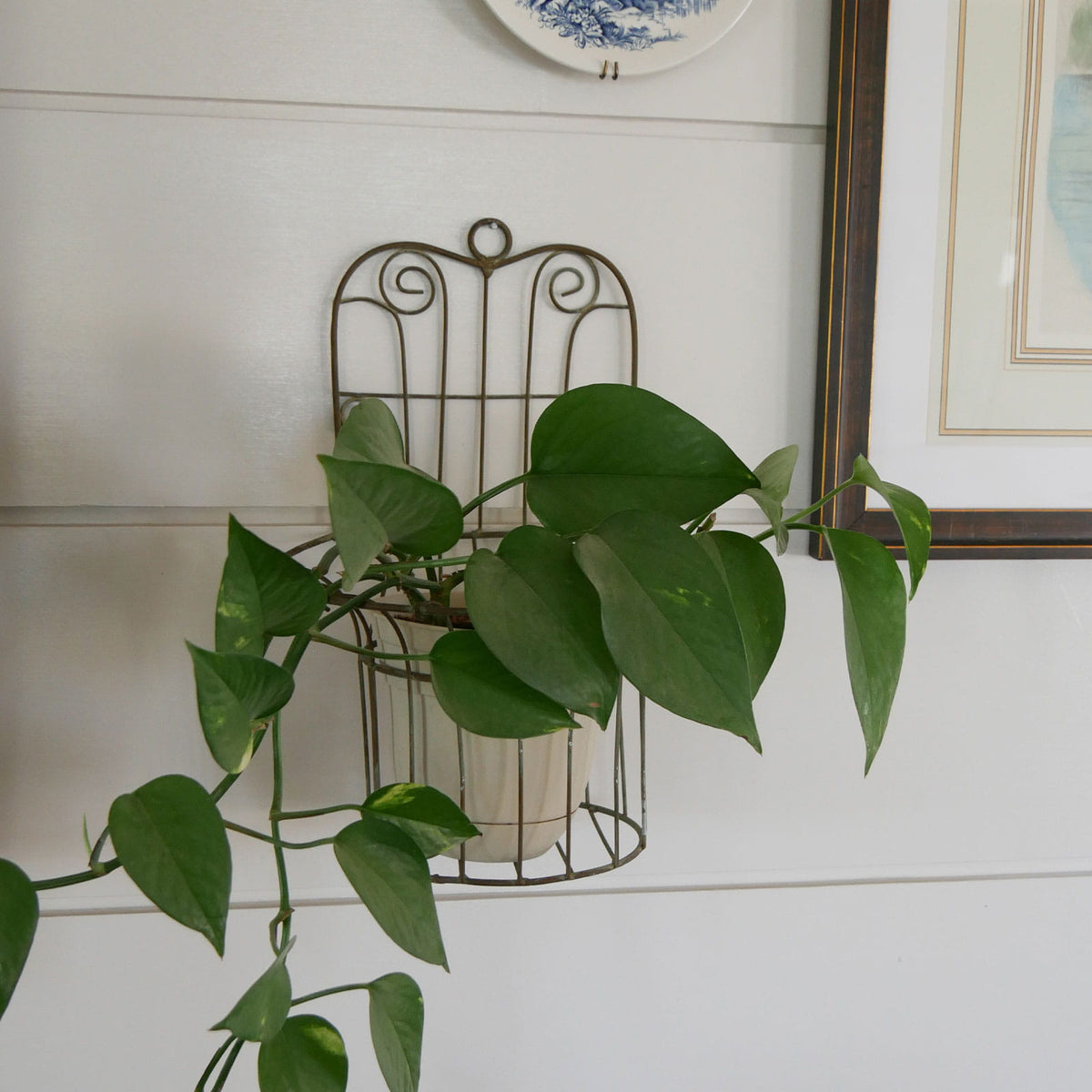 Wire Wall Mounted Plant Holder, Vintage Plant Hanger, VIntage Wire Plant Holder, Wire Wall Plant Hanger