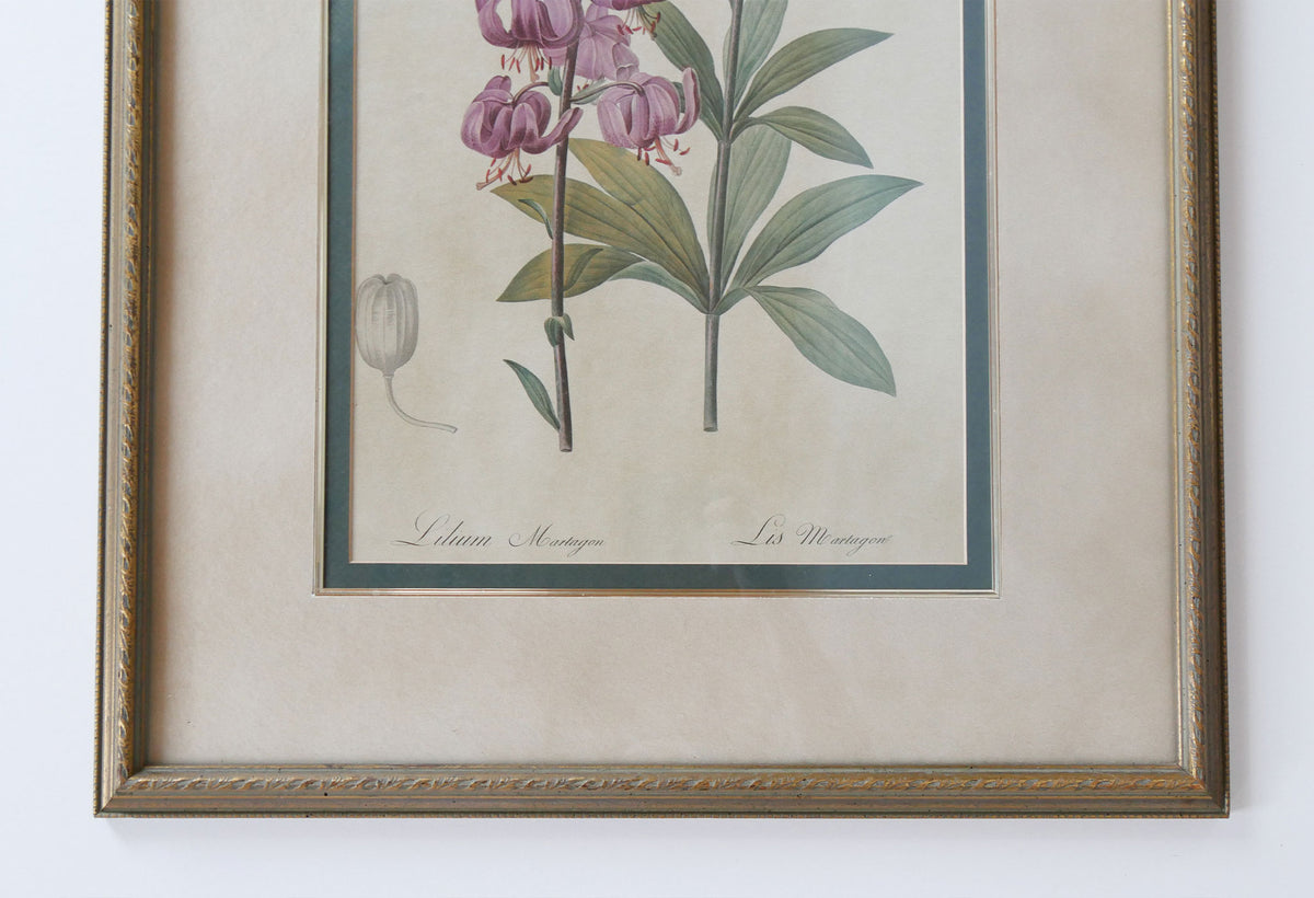 XL Vintage Framed Lilium Martagon Framed Purple Botanical Print Gold Frame, Vintage Botanical Print, Vintage Home Decor