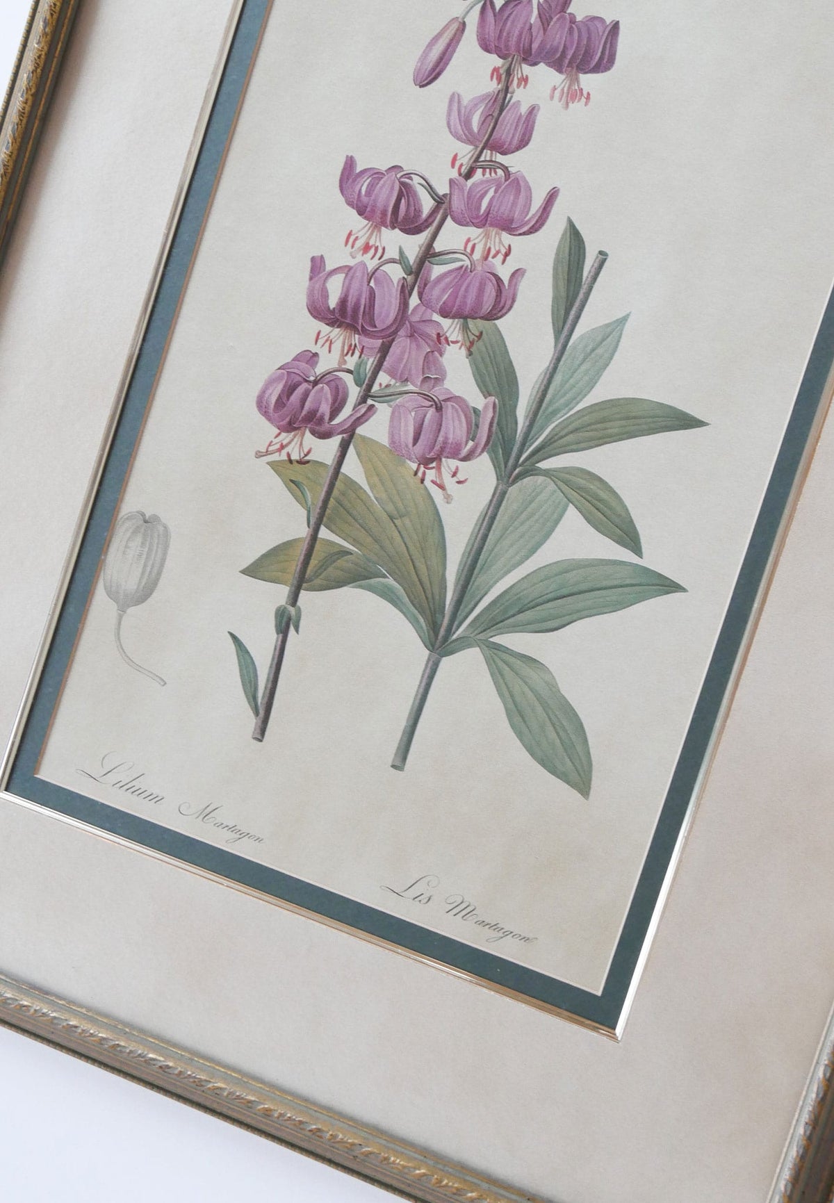 XL Vintage Framed Lilium Martagon Framed Purple Botanical Print Gold Frame, Vintage Botanical Print, Vintage Home Decor