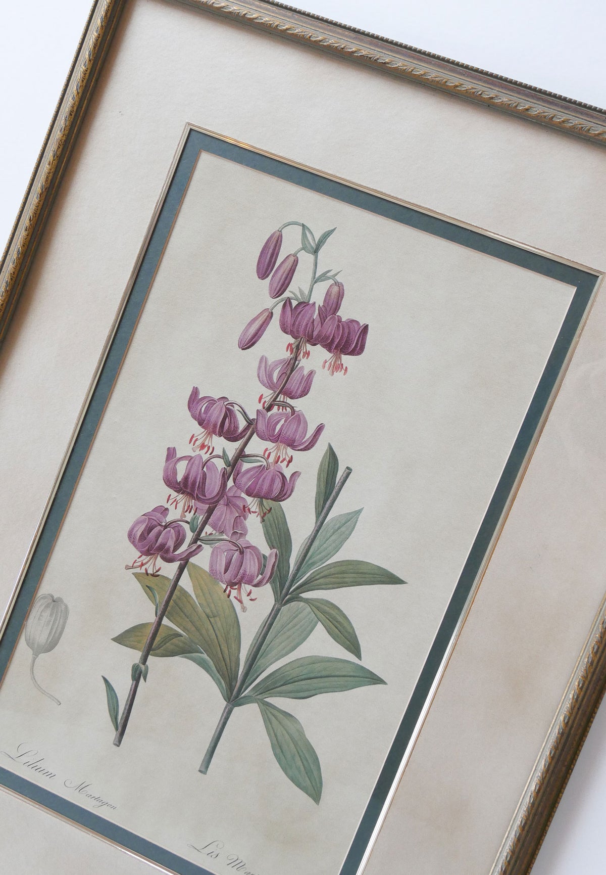 XL Vintage Framed Lilium Martagon Framed Purple Botanical Print Gold Frame, Vintage Botanical Print, Vintage Home Decor