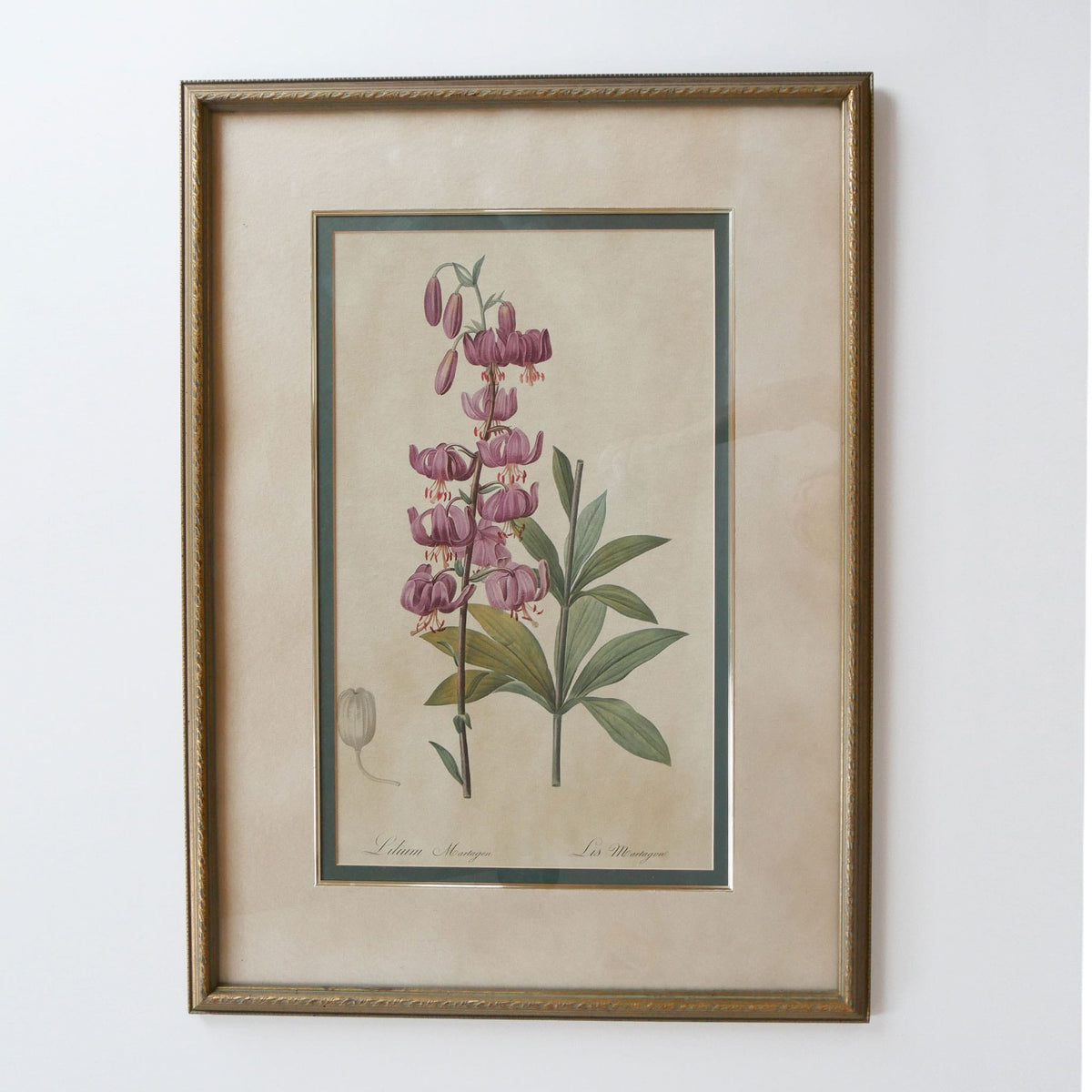 XLVintage Framed Lilium Martagon Framed Purple Botanical Print Gold Frame, Vintage Botanical Print, Vintage Home Decor