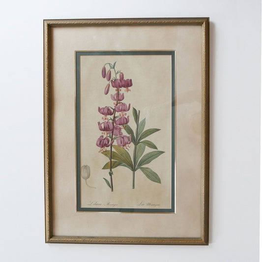 XLVintage Framed Lilium Martagon Framed Purple Botanical Print Gold Frame, Vintage Botanical Print, Vintage Home Decor